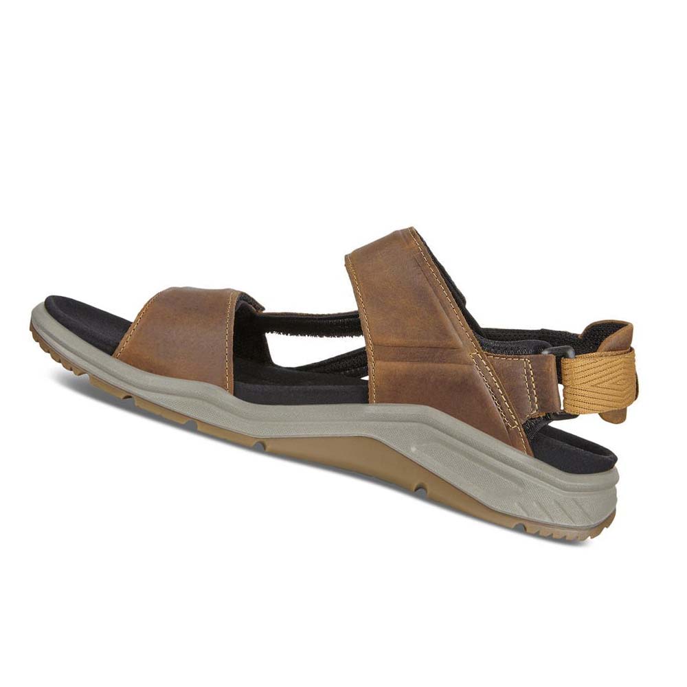 Men's Ecco X-trinsic Flat Sandals Brown | USA 592LIS